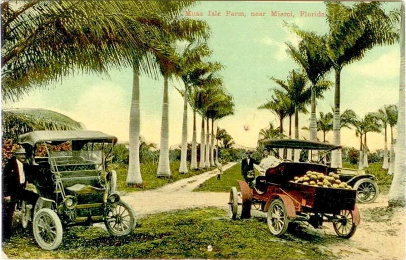 Vintage Postcard Musa Isle Farm