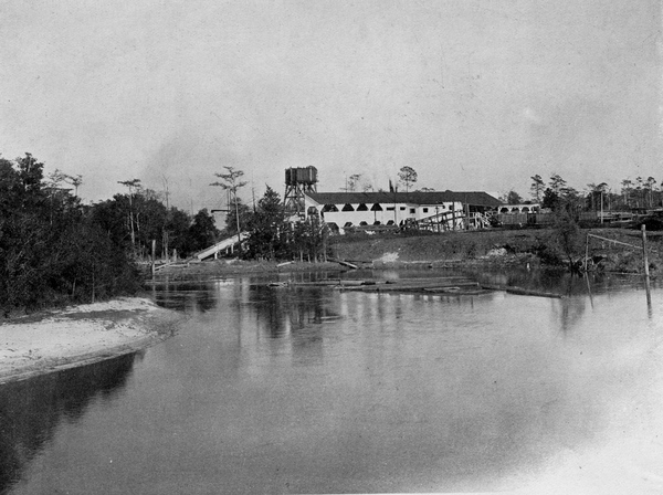 Southern States Lumber Company in 1903