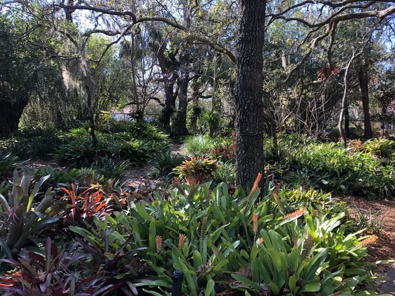 Naturecoast Botanical Gardens A Secret Oasis In Spring Hill
