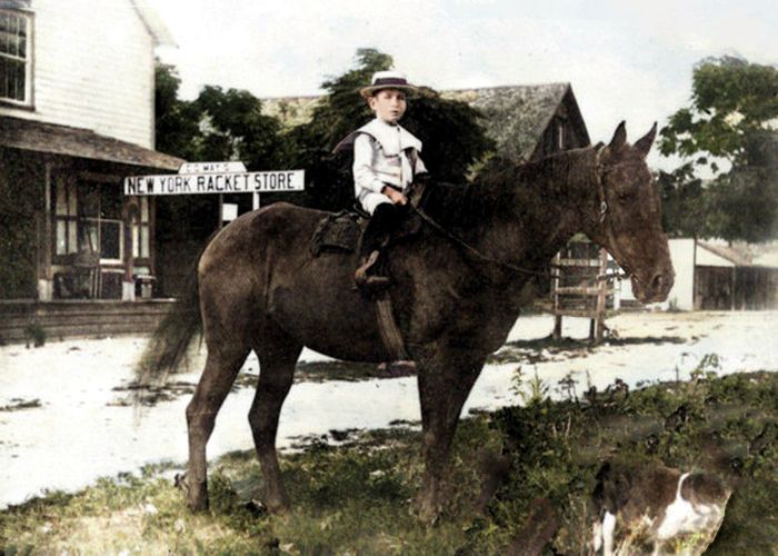 Newberry Bill Barry