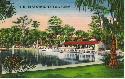 Silver Springs Ocala Florida