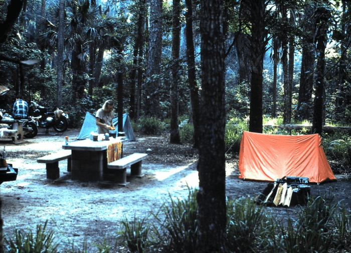 Ocala National Forest, Florida Ocala National Forest, Florida