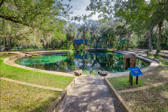 Ocala National Forest Juniper Springs Rec Area