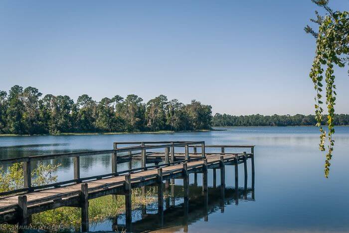 Ocala National Forest Flickr Lake Dock