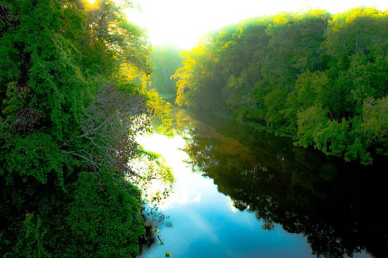 Ocklawaha River