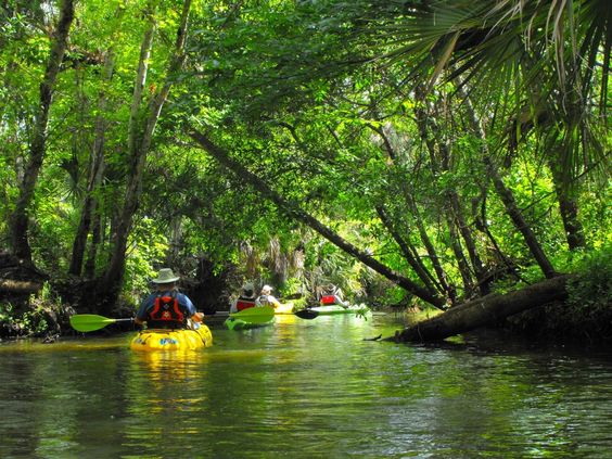 Kayakers on Turkey Creek