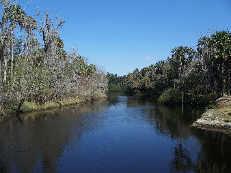 Peace River at Zolfo Springs, photo from Wikipedia by Ebyabe