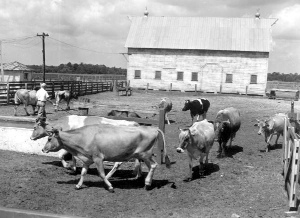 Penney Farms Foremost Dairy