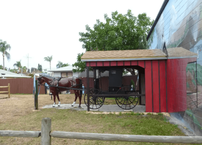 Pinecraft Horse and Buggy