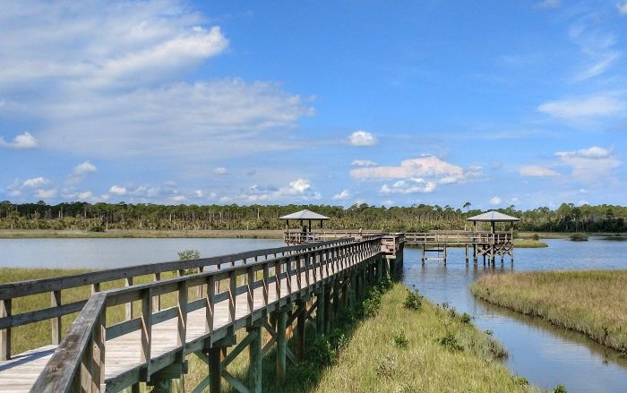 Port Orange Wetland