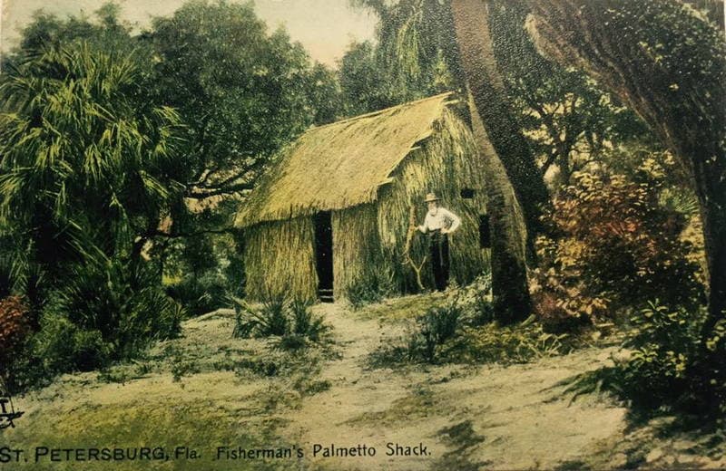 Vintage Postcard Florida Fisherman's Palmetto Shack