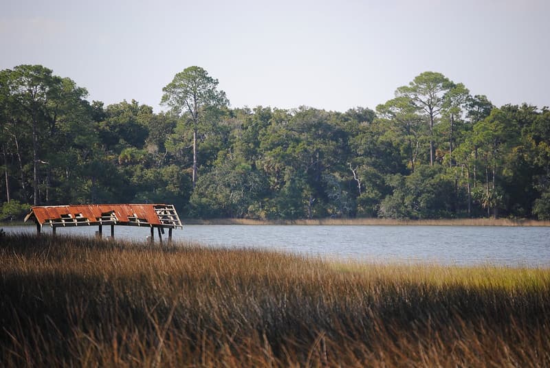 Marsh at Princess Place Preserve