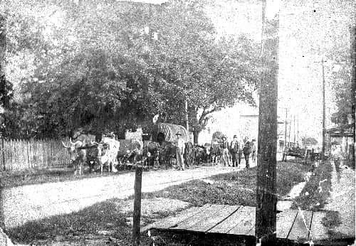 Early Scene in Punta Rassa, Florida