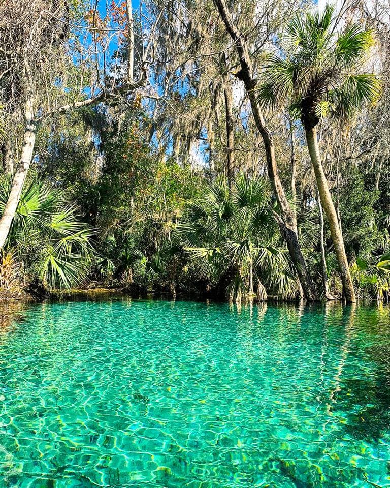 Rainbow Springs: and Preserved as Park