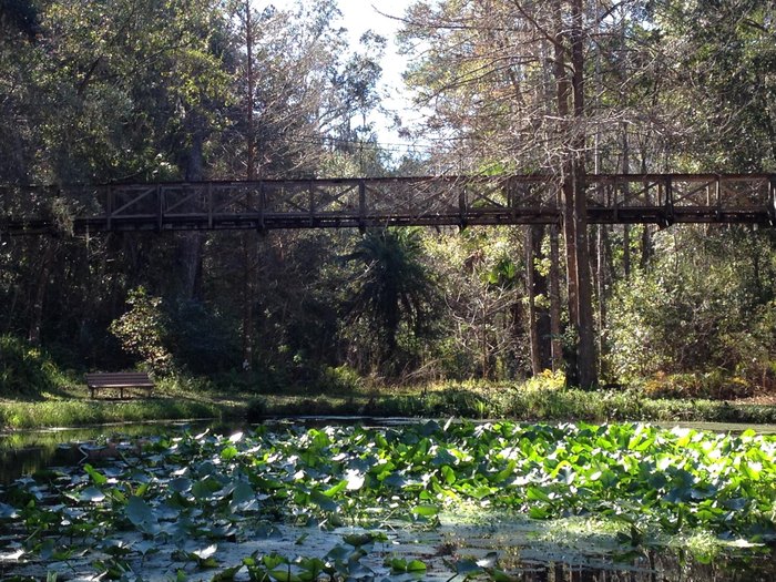 Ravine Gardens Bridge Side View Ravine Gardens Bridge Side View