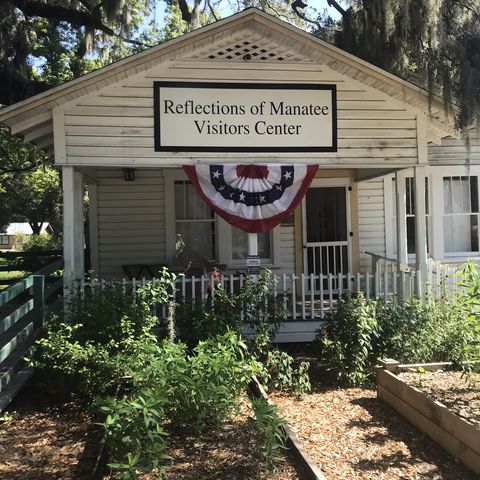 Reflections of Manatee