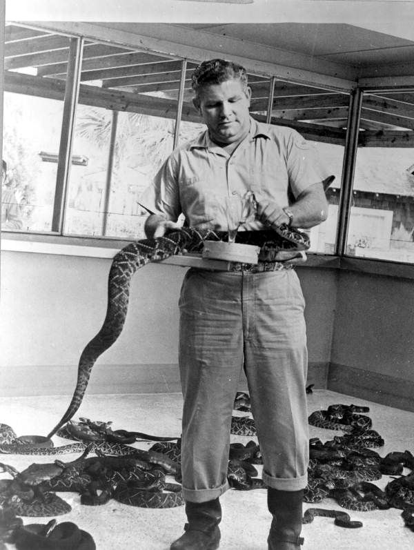 Ross Allen With Rattlesnakes at Silver Springs