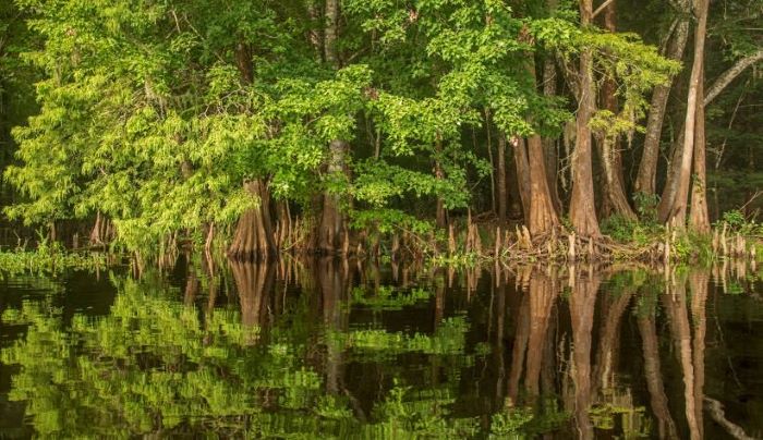 Santa Fe River Santa Fe River