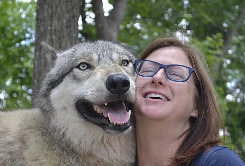 Wolf and Woman Photo by SeacrestWolfPreserve.org