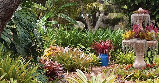 8 Florida Day Trips Botanical Gardens Flowers And Trees - Botanical Gardens Near Boca Raton Florida