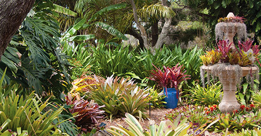 Marie Selby Botanical Gardens