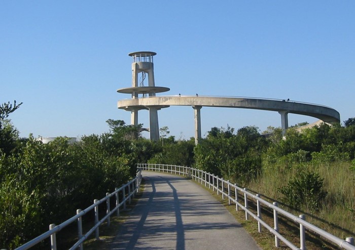 Shark Valley Observation Tower