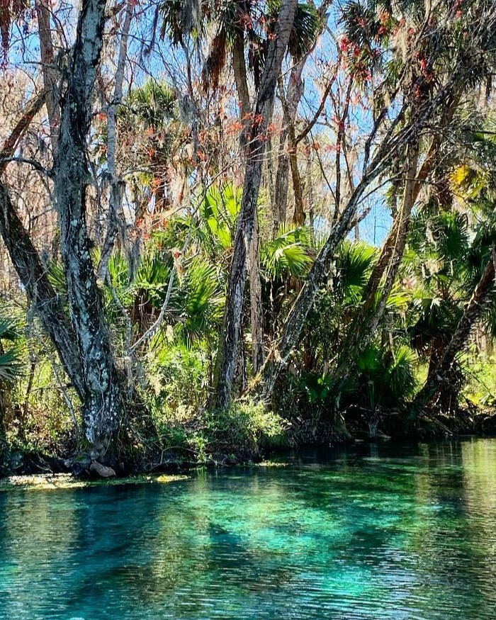 Silver Springs State Park Kayaking