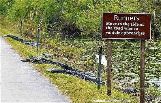 Snake Road Gators and Sign