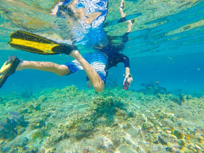 Snorkeling Man With Camera