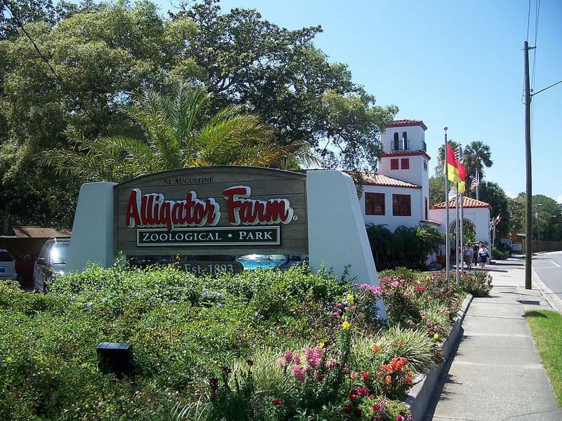 St. Augustine Alligator Farm
