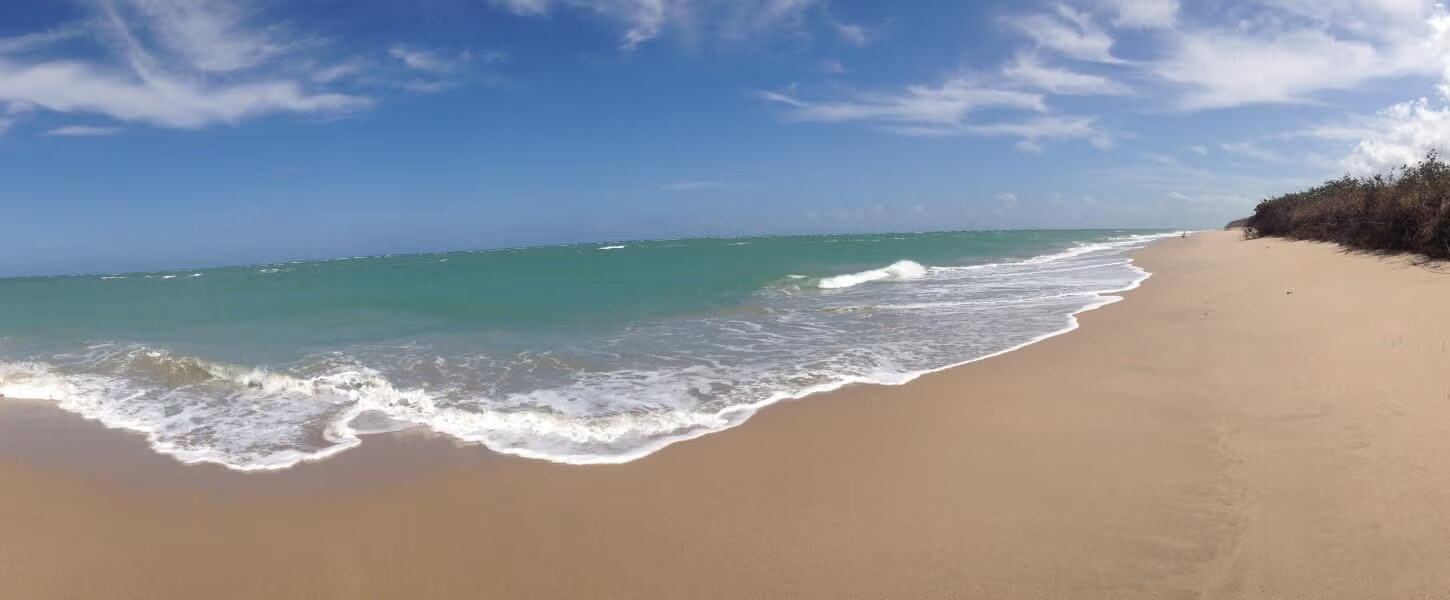 Beach at St. Lucie Inlet Preserve State Park