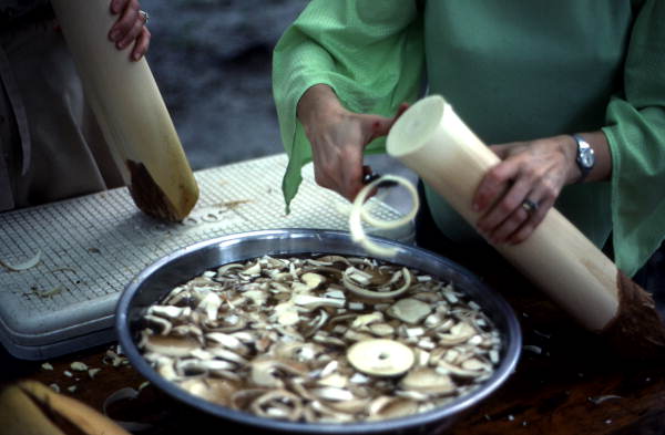 Peeling Swamp Cabbage
