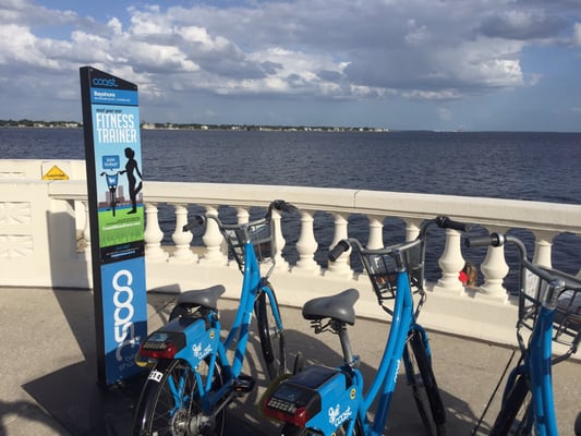 Bike Rentals on Bayshore Boulevard