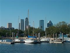 Davis Islands Marina