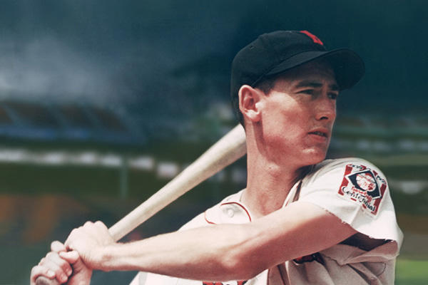 Ted Williams at Bat