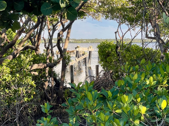 Terra Ceia Waterfront Scene