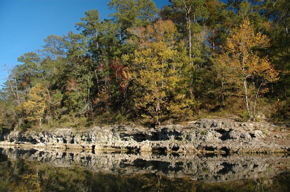 Torreya State Park