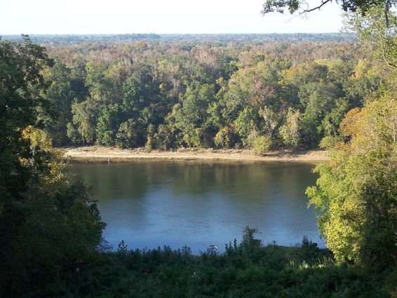 Torreya State Park and Apalachicola River near  Bristol Florida