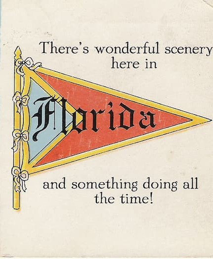 Tropical Palm at Sunset 2