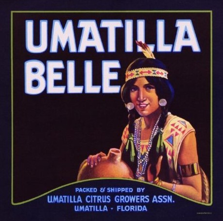 Umatilla, Florida: Historic Old Citrus Town