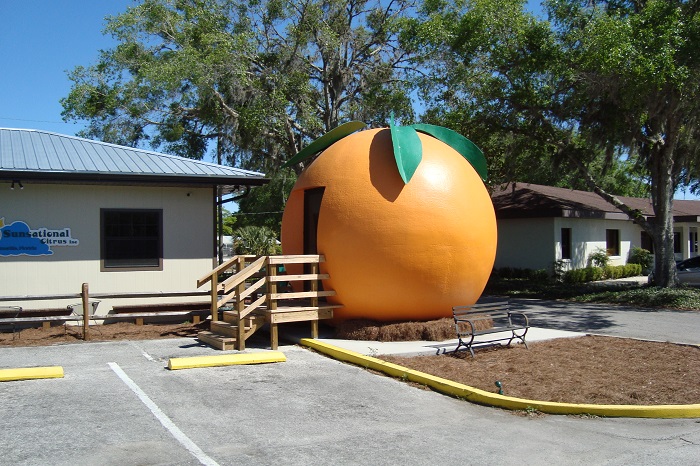 Umatilla, Florida: Historic Old Citrus Town