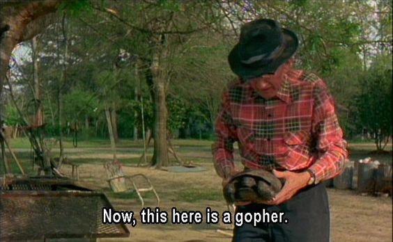 Vernon, Florida Man with Gopher Tortoise