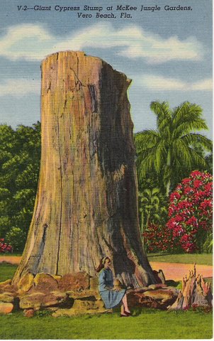 Vero Beach McKee Cypress Postcard Vero Beach McKee Cypress Postcard