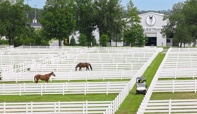 WEC-Pastures WEC-Pastures