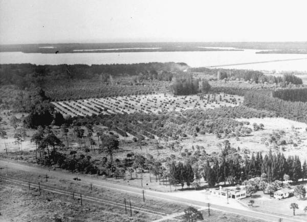 Old Wabasso Bridge 1950s, Florida Memory