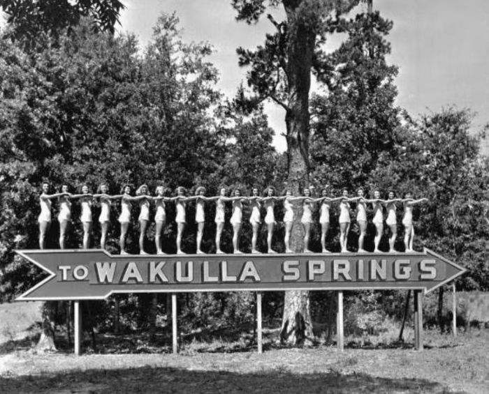 Wakulla Springs Bathing Beauties