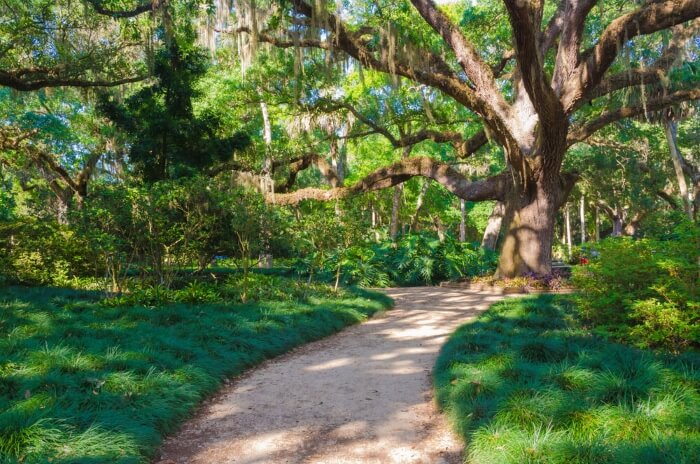 Washington Oaks Walking Path