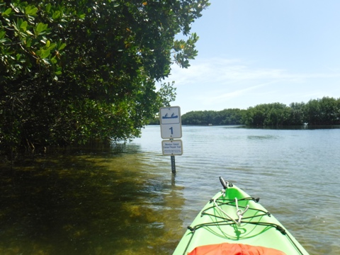 Kayaking at Weedon Island Preserve