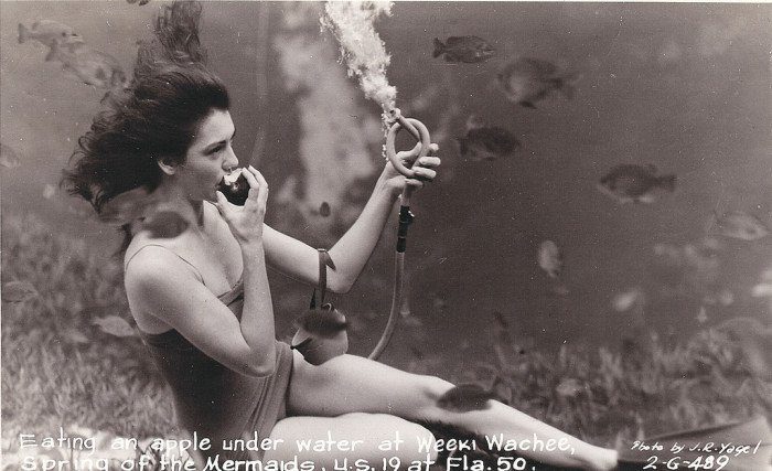 Vintage Postcard Weeki Wachee Springs Mermaid