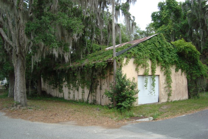 Old Vine Covered Building in Welaka, Florida